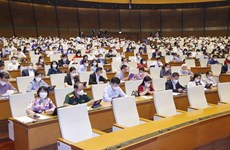 越南第十五届国会第一次会议：讨论后几个月和2021~2025年社会经济发展问题