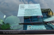 越南公安部对攻击“绿色通道”证签发系统的行为进行调查