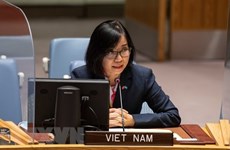越南与联合国安理会：越南高度评价联非达团所作出的贡献