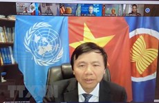 越南与联合国安理会：越南支持将性别层面纳入打击恐怖主义和暴力极端主义各方面