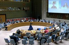越南与联合国安理会：呼吁各国和国际组织继续向巴勒斯坦人民提供援助