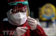 新冠肺炎疫情：印尼建设全球疫苗生产中心  东南亚部分国家新冠肺炎确诊病例数继续增加