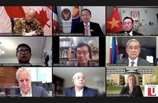 越南代表在“加拿大与东盟对接”在线研讨会上提出深化双方合作领域的建议 