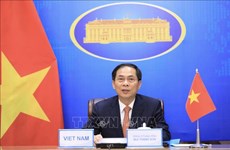 越南着力加强经济外交 为2021年下半年实现双重目标提供服务