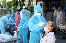 旅居澳大利亚和新喀里多尼亚越南人积极支持国内防疫工作