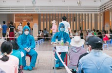 青年志愿者热心参加胡志明市新冠肺炎疫情防控工作