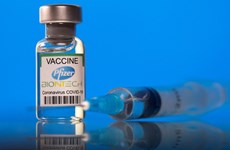 约5000万剂辉瑞疫苗将于年底抵达越南 卫生部要求加快接种进度