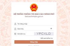 越南将在政府报告信息系统及时更新受新冠疫情影响群众的援助情况