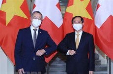 越南外交部部长裴青山与瑞士副总统兼外长卡西斯举行会谈
