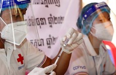 新冠肺炎疫情：柬埔寨卫生部确认德尔塔变异毒株已在社区传播