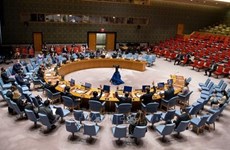 越南与联合国安理会：越南重申谴责使用化学武器的立场 