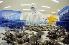 2021年越南虾类出口额有望达38-40亿美元