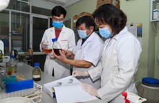 越南治疗新冠肺炎草药临床前研究结果出炉