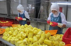 越南农水产品加大对荷兰市场的出口力度