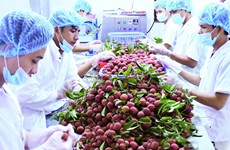 越南农产品颇受欧盟市场欢迎