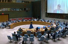 越南与联合国安理会：越南呼吁索马里政府与非洲联盟驻索马里特派团保持密切配合