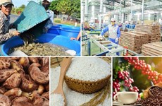 为出口中国的农产品企业纾困解难