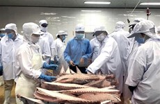 今年前7月越南金枪鱼出口额增长21%