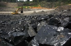 越南工贸部通报34家印尼企业被禁止出口煤炭的有关情况