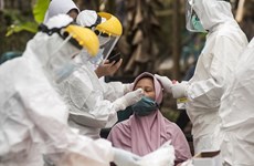 印尼政府承诺保障新冠患肺炎治疗药物供应源和价格稳定