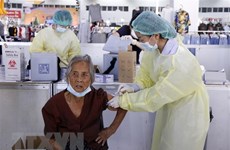 新冠肺炎疫情：老挝社区感染病例继续增加  泰国死亡病例增高