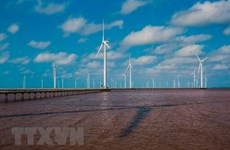 越南力争到2045年海上风力发电量达2.1万兆瓦