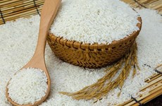 越南大米占菲律宾大米进口总量的87%