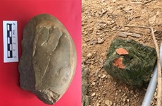 安沛省发现旧石器时代晚期文物