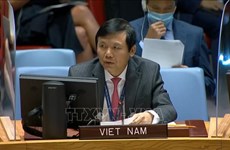 越南与联合国安理会：越南呼吁确保伊拉克选举安全