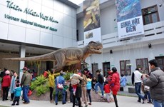 面积超38公顷的越南自然博物馆将在河内国威县兴建