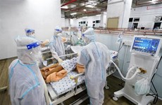 8月30日越南新增确诊病例 14224例   9000人康复出院