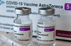  德国政府决定为越南防疫工作提供250万剂阿斯利康疫苗援助