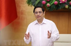 越南政府总理范明政：认真、科学研究  安全适应新冠肺炎疫情