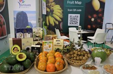 越南参加2021年意大利国际果蔬展
