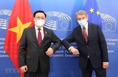 越南国会主席王廷惠与欧洲议会主席举行会谈