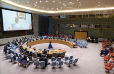 越南与联合国安理会：越南强调利比亚按时举行选举的重要性
