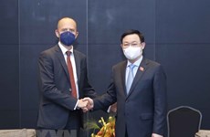 越南国会主席王廷惠会见西门子能源公司领导