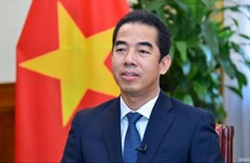 越南副外长苏英勇：国会主席王廷惠欧洲之行成果超出预期