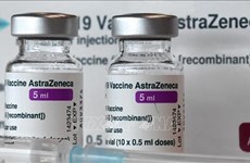 越南接受由德国通过COVAX机制援助的85.2万剂新冠疫苗