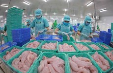越南多家查鱼和巴沙鱼出口企业无需缴纳美国反倾销税