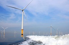 越南海洋和岛屿：越南海上风电发展潜力巨大 