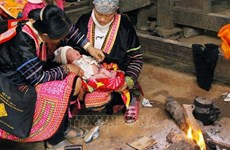 国际伙伴向降低越南少数民族地区产妇死亡率项目提供逾200万美元