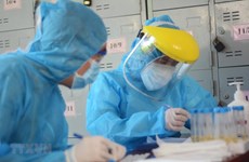 胡志明市新增新冠肺炎患者和死亡病例日益呈下降趋势