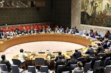 越南与联合国安理会：越南重申核不扩散与核裁军的政策