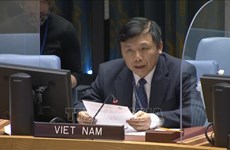 越南对加沙地带暴力活动和人道主义局势急剧恶化感到关切