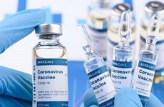  越南与联合国安理会：越南对新冠疫苗公平分配和保护人权建言献策
