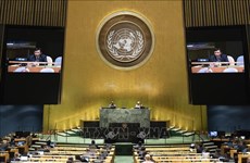 越南与联合国安理会：越南谴责引起海地政治不稳定的行为