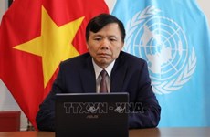 越南常驻驻联合国代表邓廷贵：越南将尽力完成自己的使命