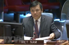 越南与联合国安理会：越南呼吁国际社会加强对刚果的支持