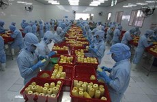 俄罗斯增加从越南进口加工的蔬菜水果